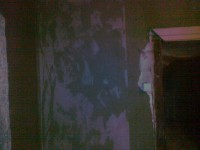 /album/galeria/payment-of-customs-clearance-100-jpg/